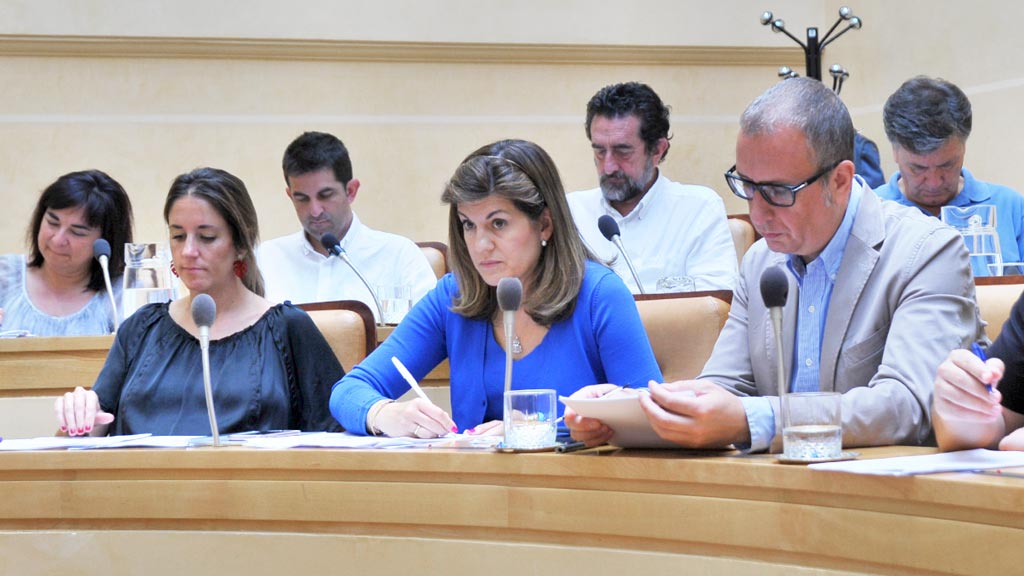 08-1kama_Ayuntamiento-Pleno-PP_KAM1518