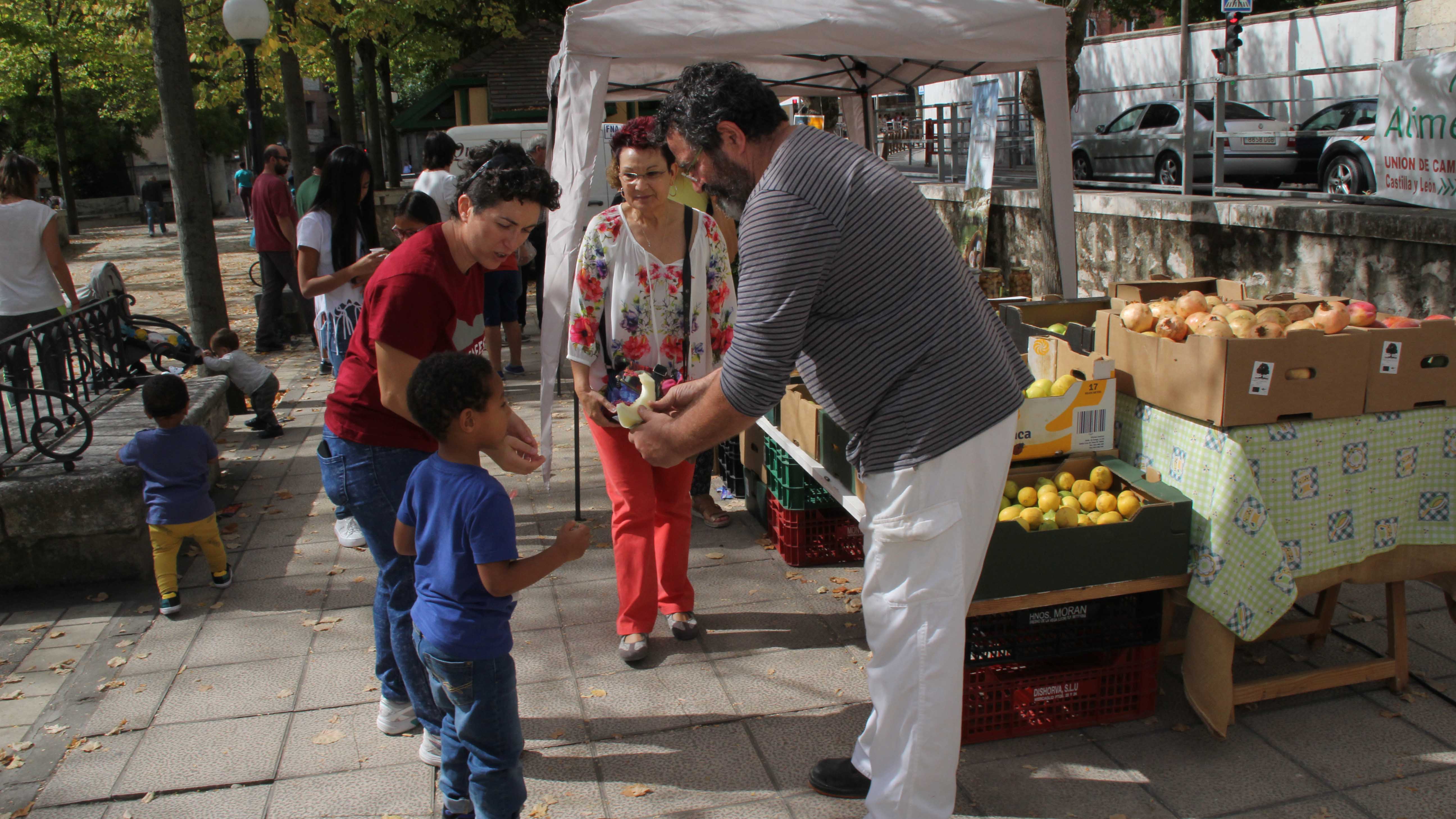 1. Mercado ecologico web