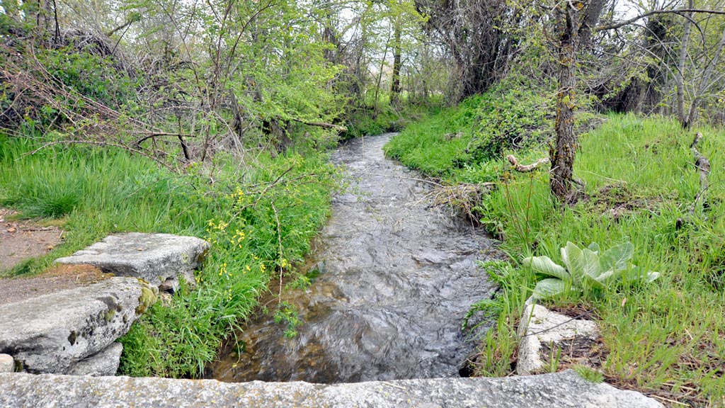 13-1kama_Cacera-Navalcaz_KAM4259