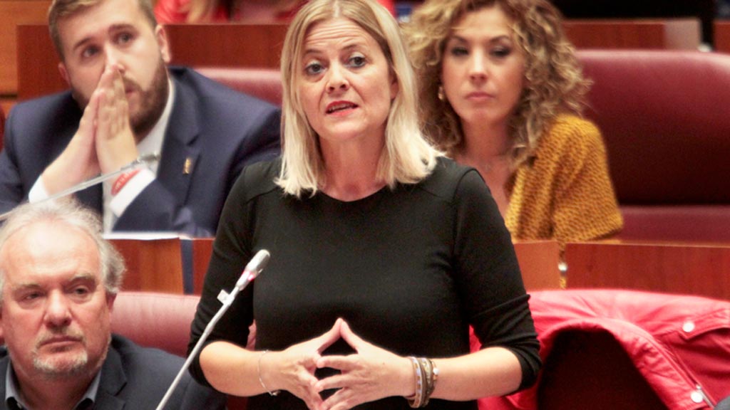 La procuradora socialista, Ana Agudíez.