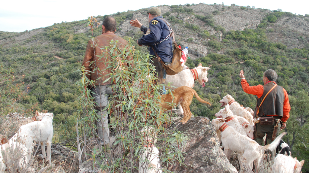 Impulsan la carne silvestre como motor económico para el campo 1 25_1-agrarias