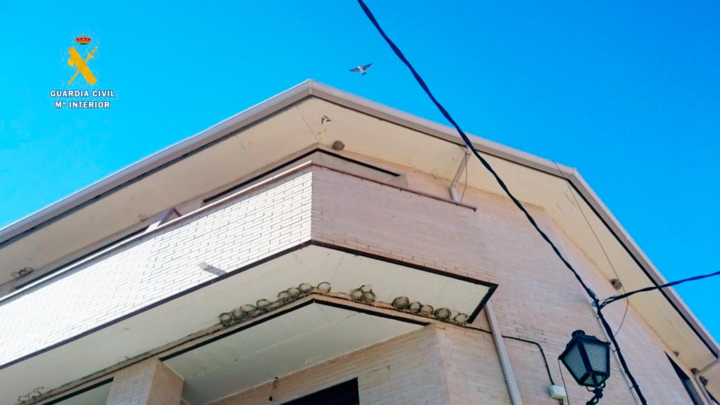 15-1-cantimpalos-nidos-avion-sucesos