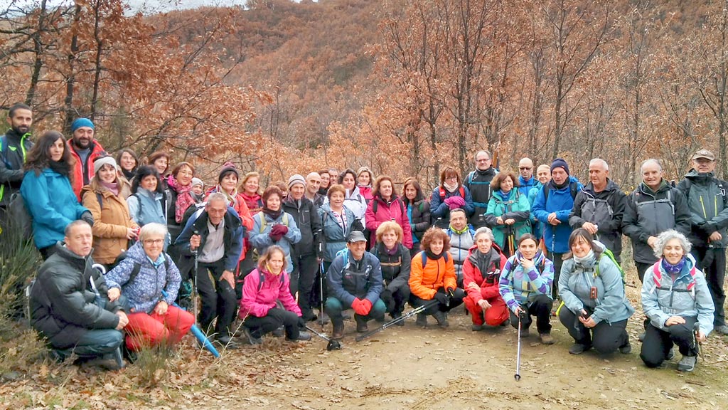 Los senderistas disfrutaron del bello paisaje otoñal del hayedo segoviano. / el adelantado