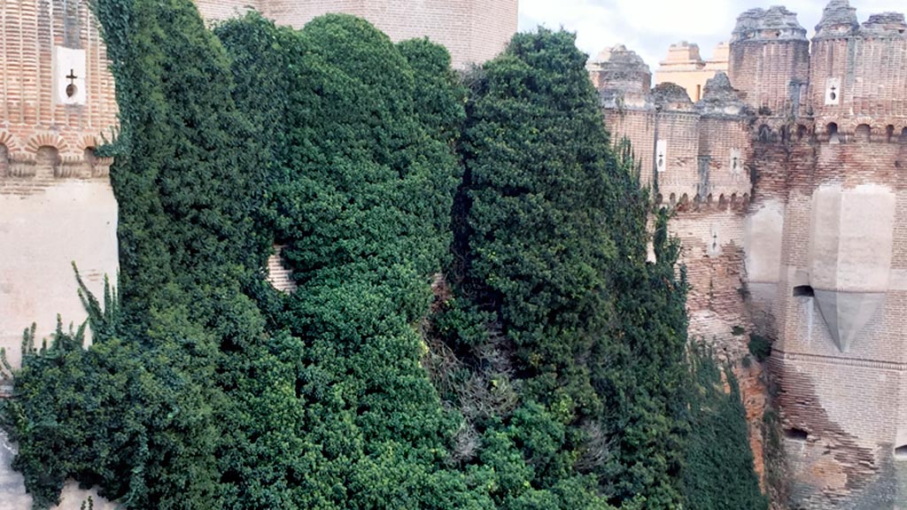 Estado actual del Castillo de Coca. / el adelantado