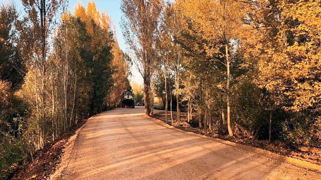 El núcleo central del proyecto ha consistido en la plantación de un total de 107 árboles de distintas especies.