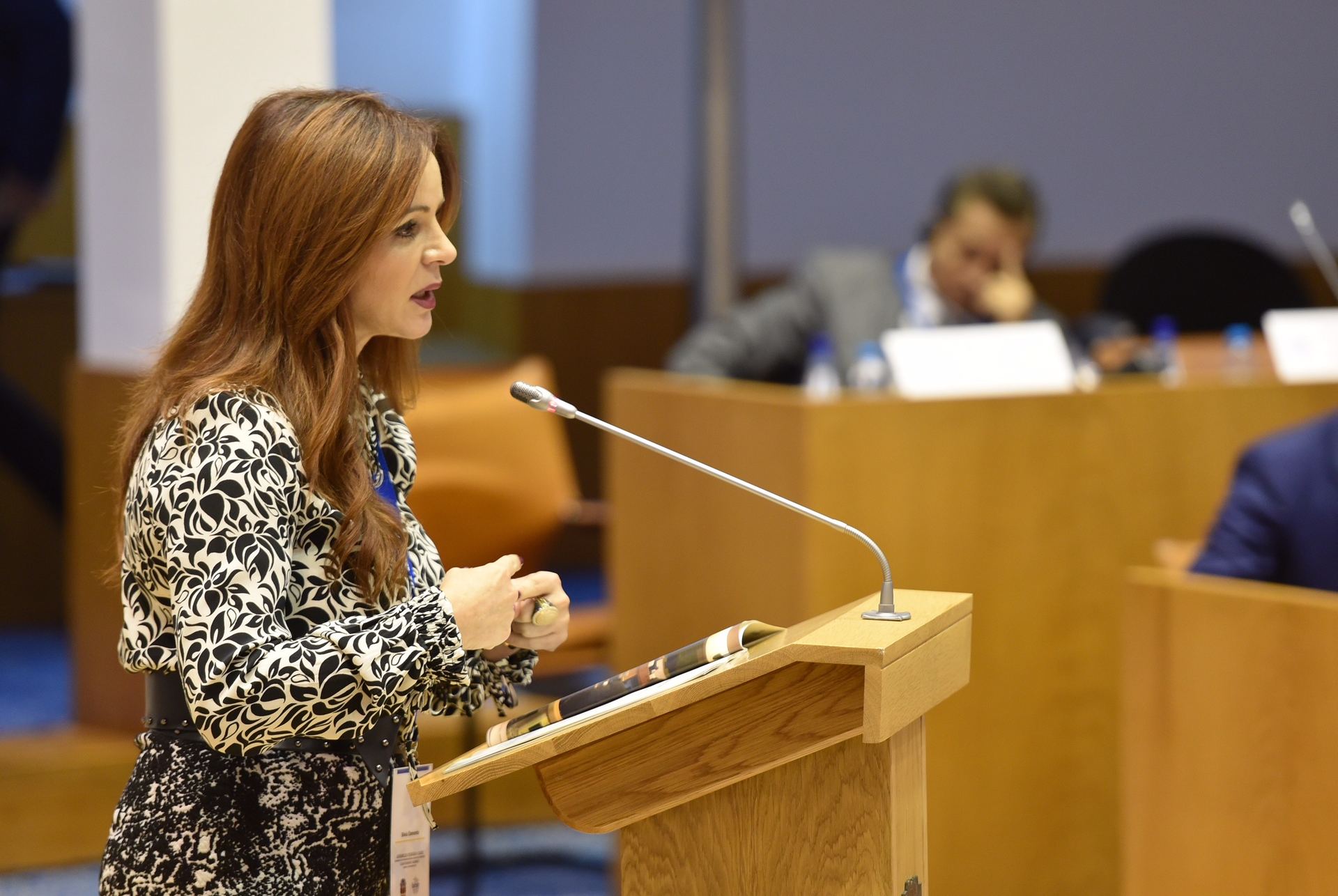 Calre avala las conclusiones del grupo de trabajo sobre despoblación 1 23 01