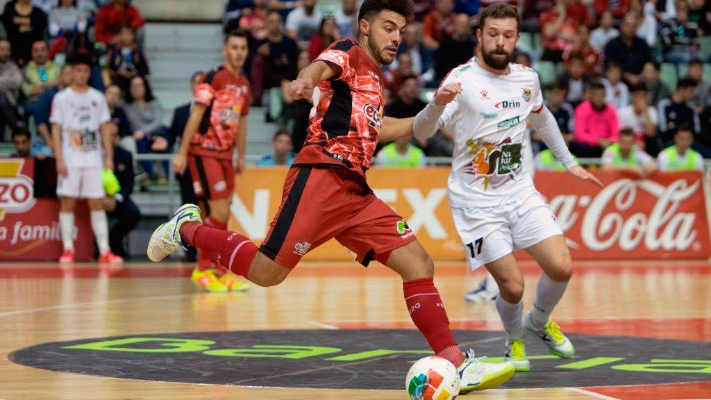 d4-1elpozo-fs-elpozo-naturpellet