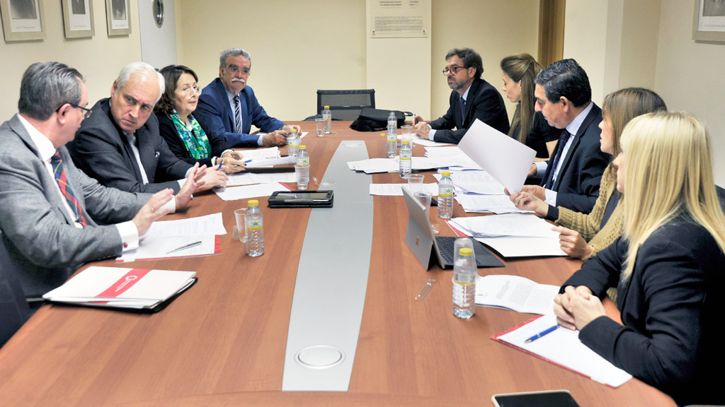 Integrantes de la Comisión Mixta del TSJCyL y del CRACyL, durante la reunión en Segovia. / kamarero