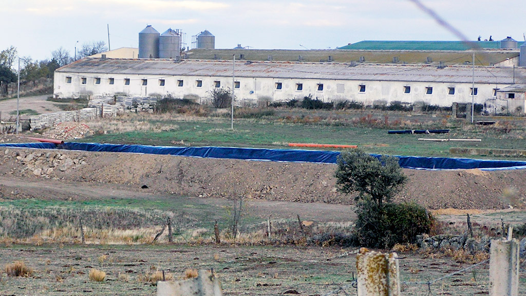La balsa de purines desaparecerá del entorno de Losana. / el adelantado