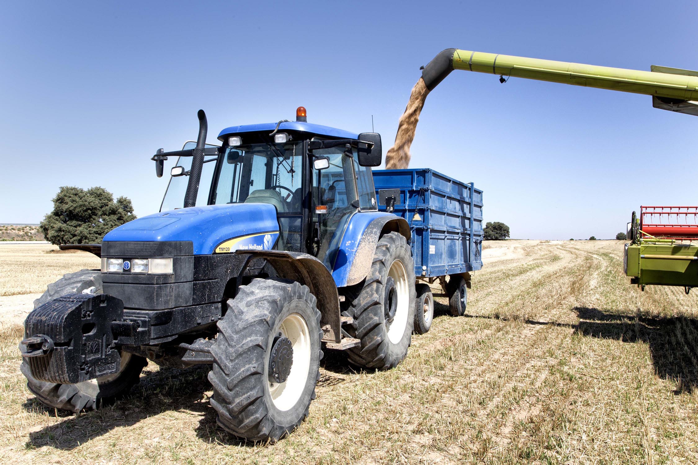 En los últimos años se ha duplicado el número de jóvenes incorporados al campo.