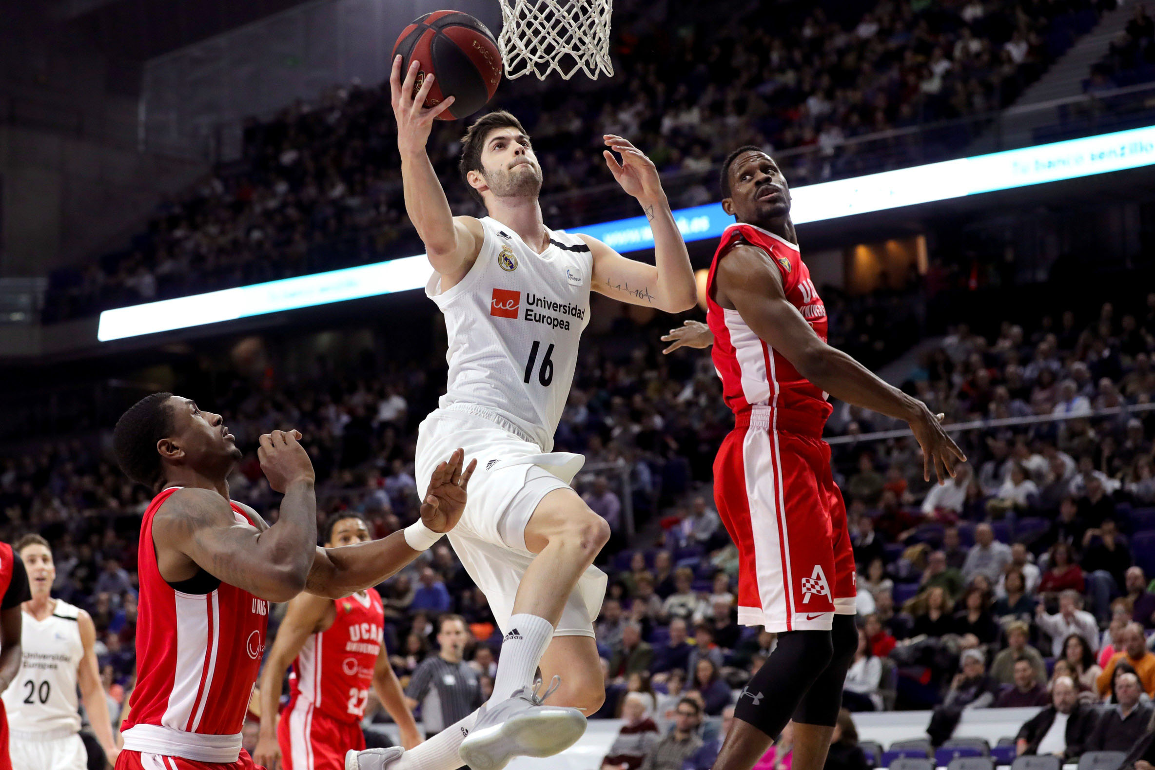 Santi Yusta entra a canasta en la victoria del Real Madrid ante el UCAM.