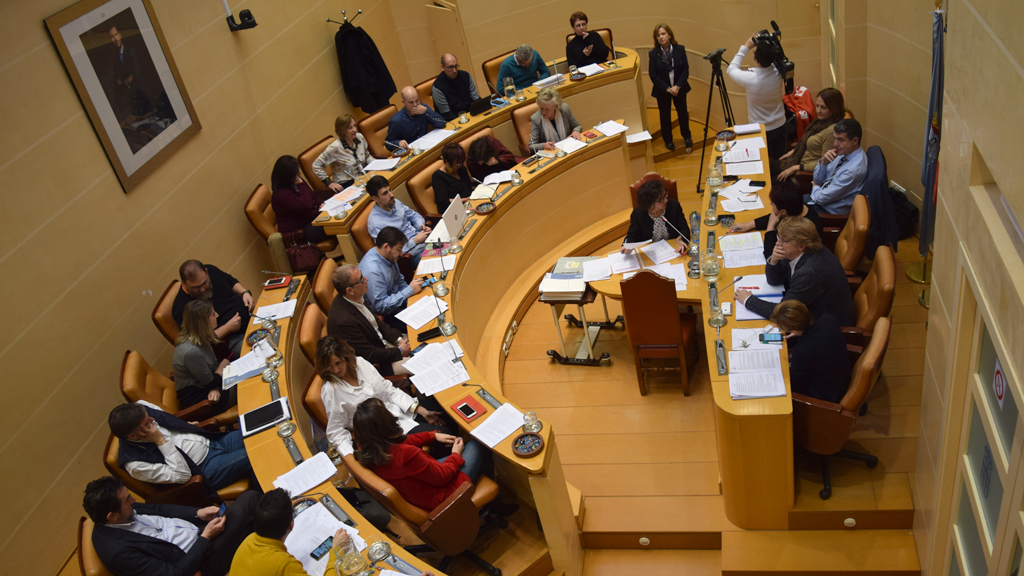 4_1_pleno-Rociopardos