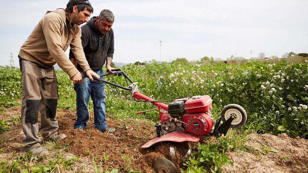 La inserción laboral es una de las iniciativas sociales de la Caixa. / E. A.