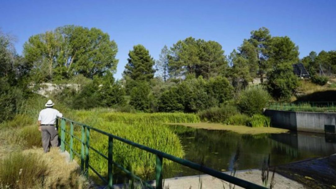 14rio cega 696x392 1