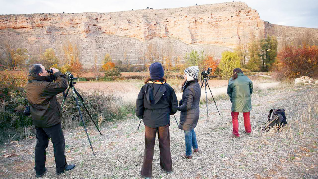 Un grupo de naturalistas trabajando en el Refugio de Rapaces. / el adelantado