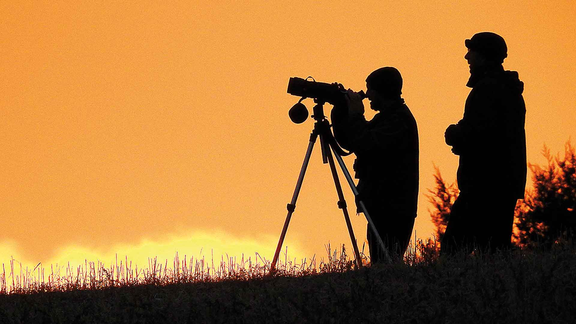 Participantes en el último censo de otoño en el Refugio. (Fotografía: Elías Gomis Martín. Noviembre de 2018).