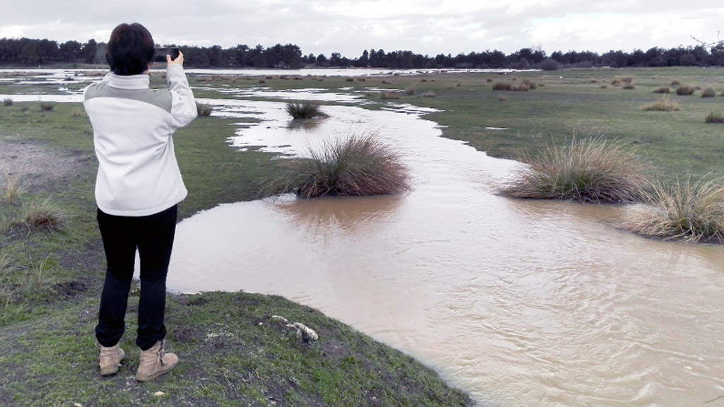 Lagunas de Cantalejo