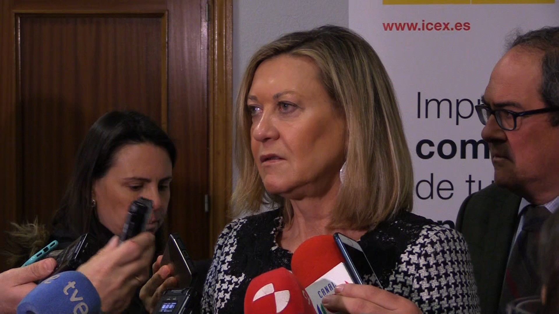 La consejera de Economía y Hacienda de la Junta de Castilla y León, Pilar del Olmo. / Europa press