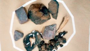 56 2 navas de oro pena del moro inicio excavaciones