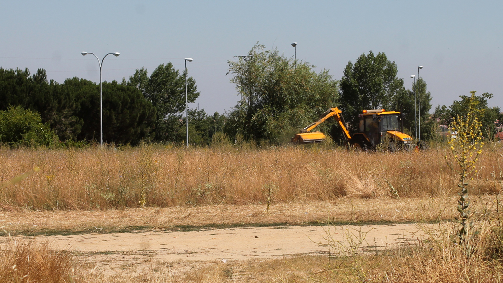 El pasado mes de julio se procedió al desbroce de la parcela destinada al centro de salud de Nueva Segovia. / E. A.