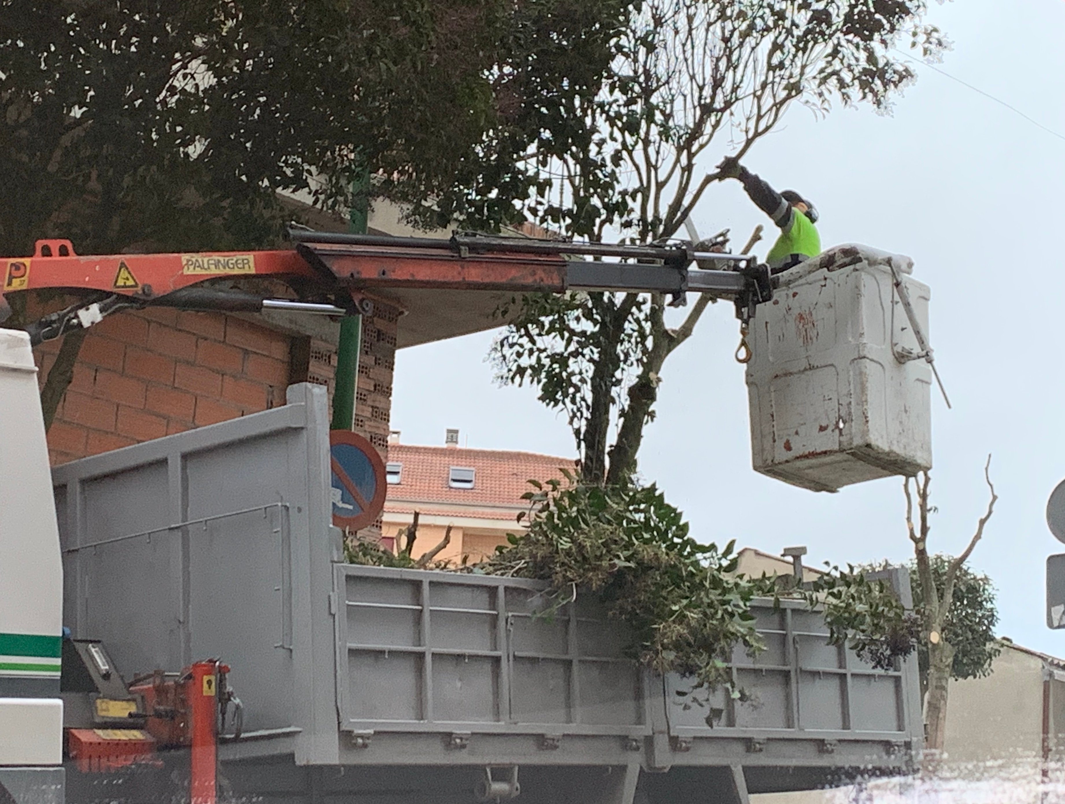 Operarios municipales realizando la poda de árboles en la zona sur de la villa./c. núñez