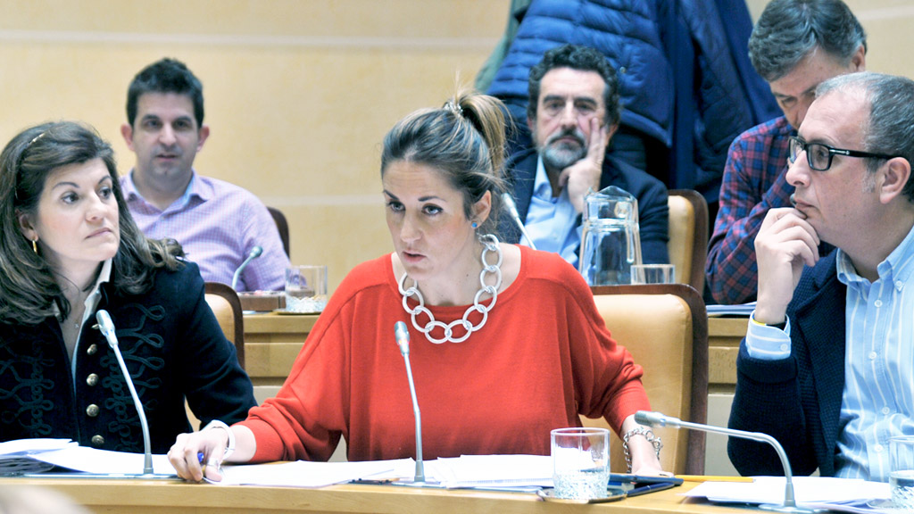 Concejales del Partido Popular durante el pleno que se celebró ayer en el Ayuntamiento de Segovia. / Kamarero