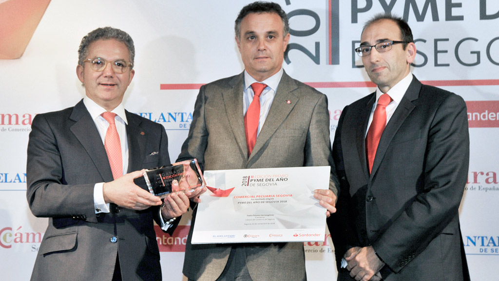 José Muñoz, director general de Copese (centro), recoge el Premio Pyme del Año 2018 el pasado mes de noviembre.