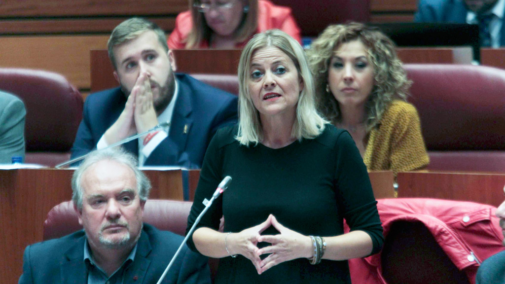 La procuradora socialista Ana Agudíez durante una de sus intervenciones en las Cortes. / E. A.