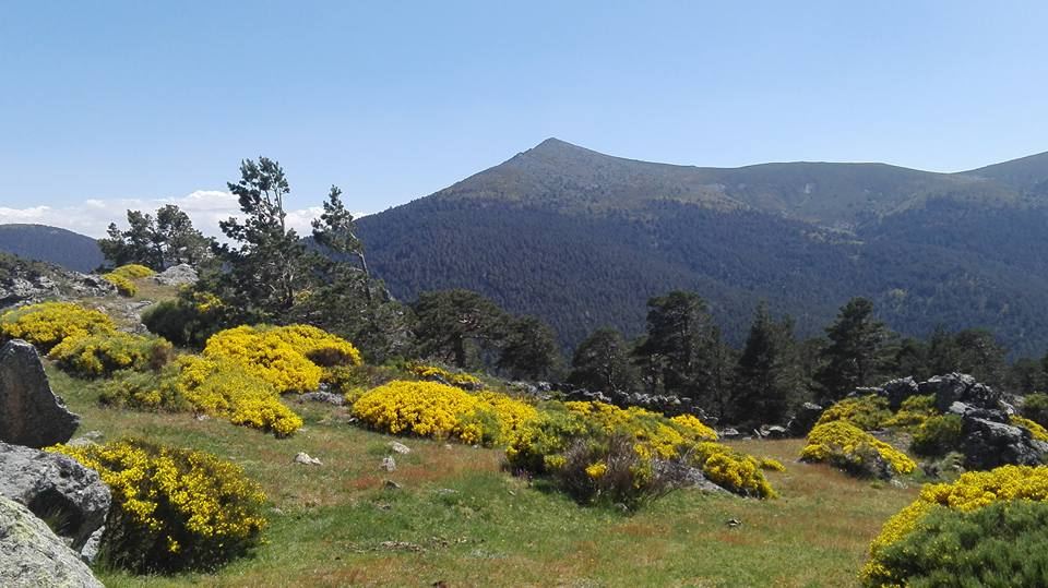 Vista de la Sierra de Guadarrama desde la provincia de Segovia. / Nuria García Castán