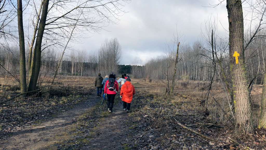 La Diputación se encargó de mejorar la señalización del Camino en Segovia.
