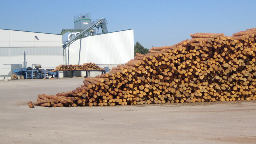 La empresa maderera gestiona de forma directa todo el ciclo forestal para sus productos. / el adelantado