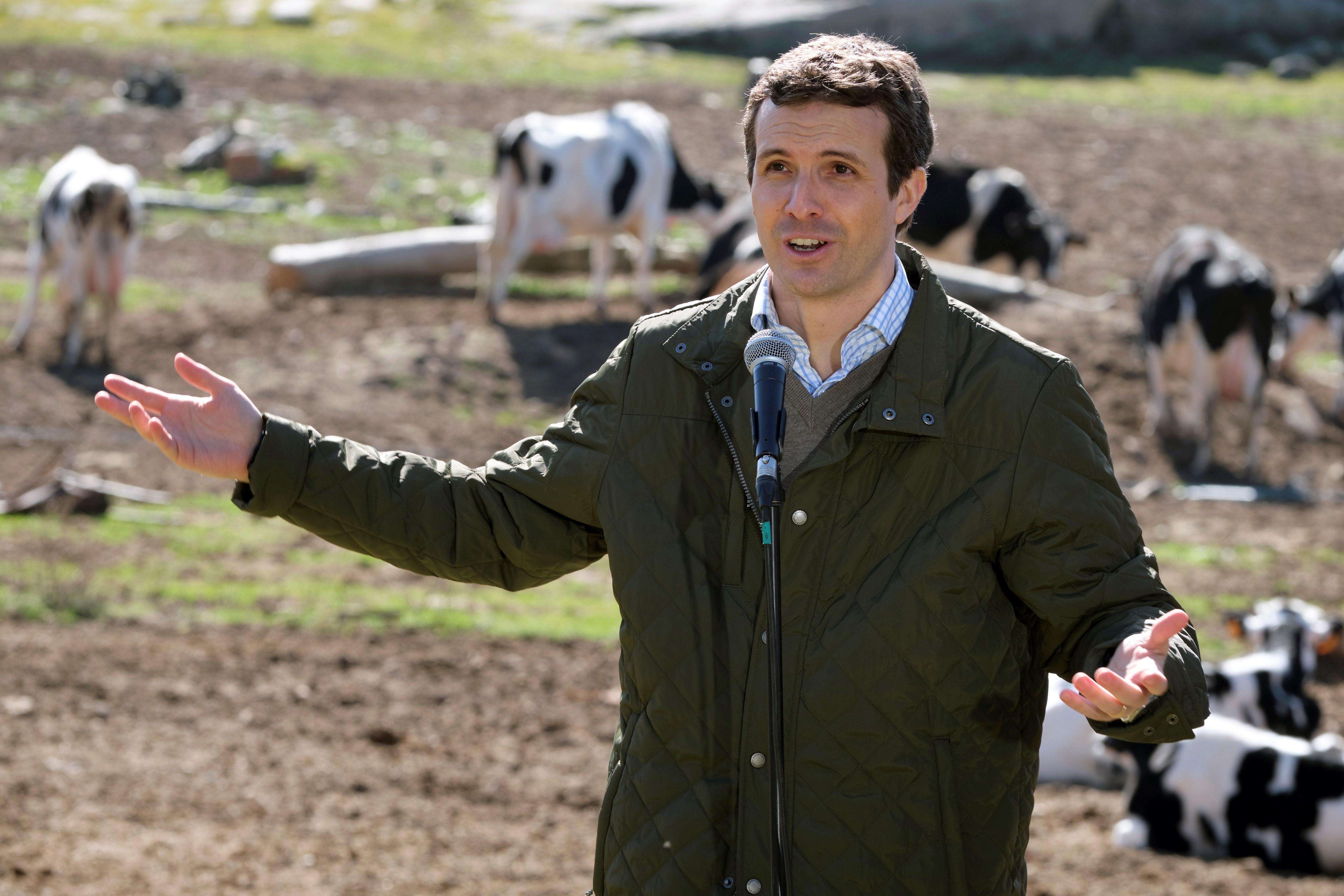 El presidente del PP, Pablo Casado, atiende a los medios.