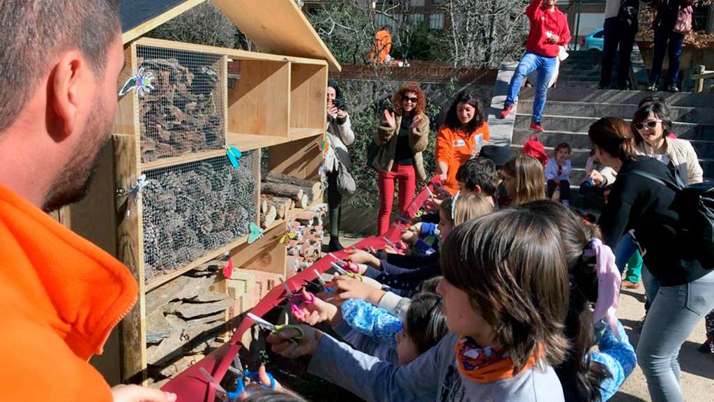 Los participantes disfrutaron de una actividad al aire libre el pasado sábado y además adquirieron conocimientos sobre los insectos de la ciudad. / E. A.