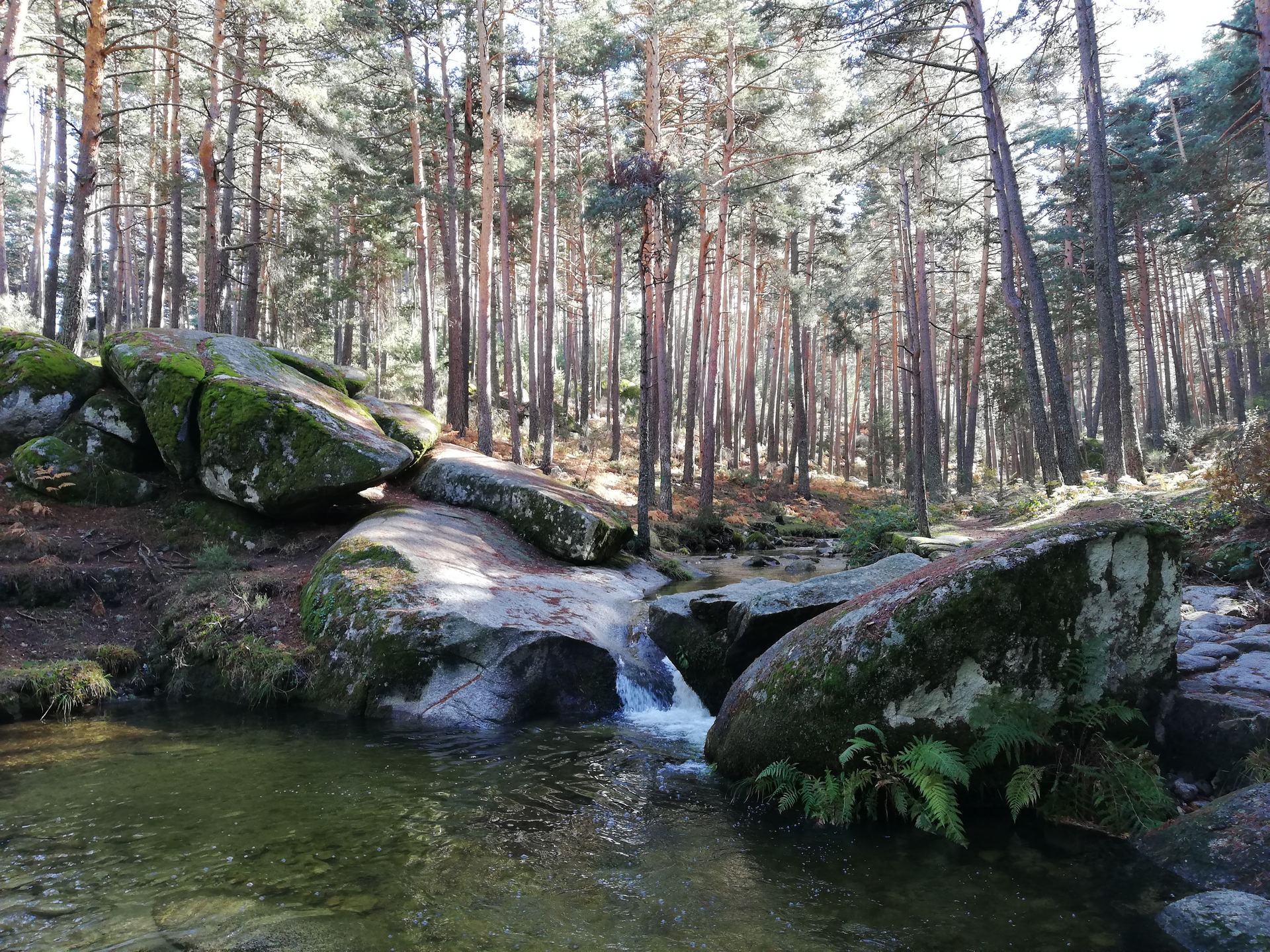 Cascada de El Batán en el Pinar de Valsaín, parte del paisaje del Real Sitio de San Ildefonso y Valsaín. / Nuria García Castán