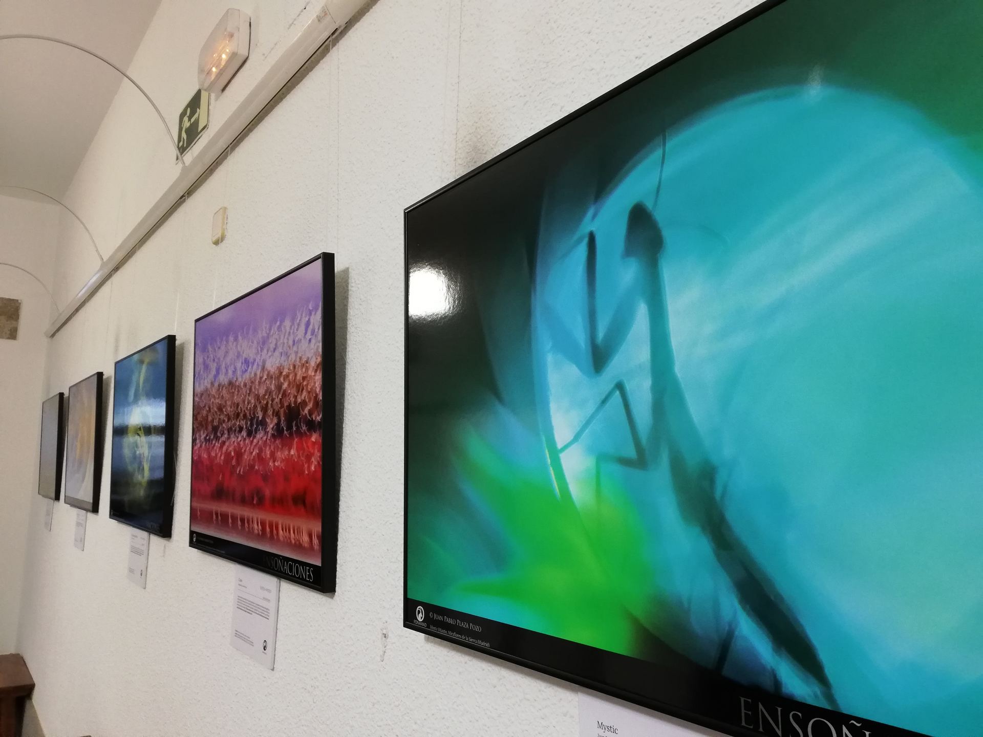 Desde épicos amaneceres hasta las sombras más oscuras. / Nuria G. Castán