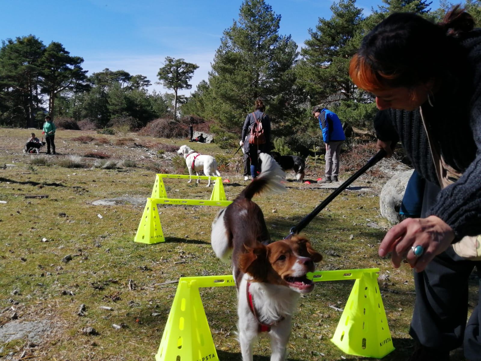 Espacio de juegos y aprendizaje para perros y tutores participantes en la Cueva del Monje (Valsaín). / Sandra Manso