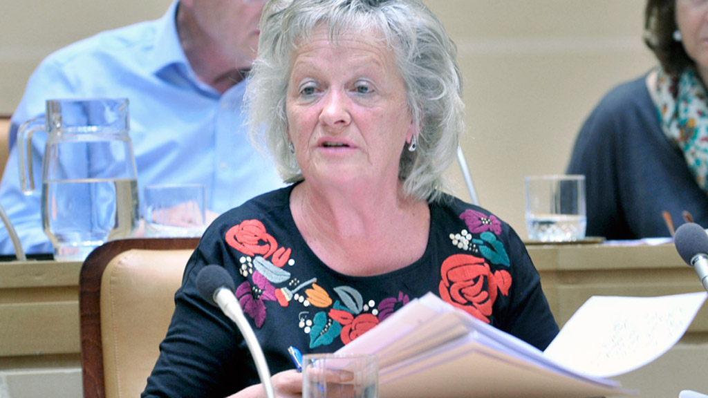 La concejala de Obras, Paloma Maroto, durante un pleno municipal. / Kamarero