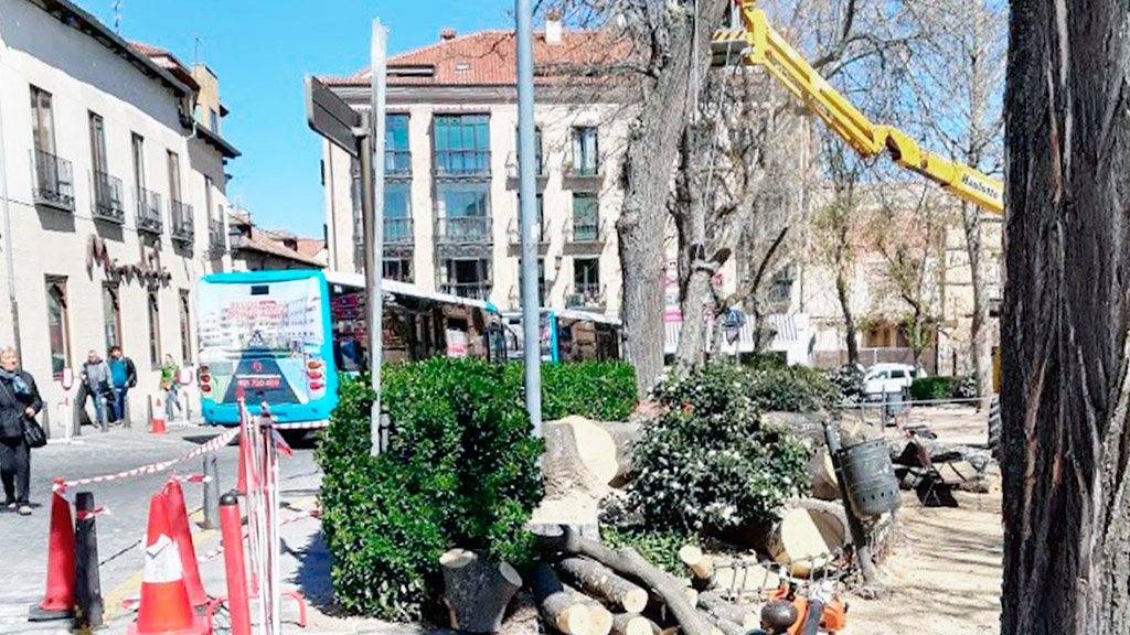 Restos de los árboles podados en este céntrico parque del recinto amurallado. / E. A.