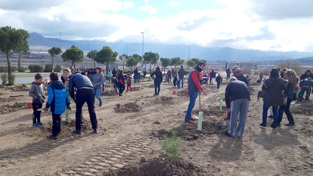 Jornada de plantación de los árboles que la comunidad del ‘Elena Fortún’ continuará cuidadando en su crecimiento. / E. A.