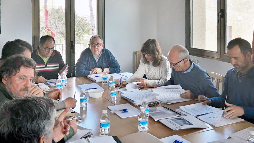 La reunión del patronato del espacio natural Hoces del Río Riaza celebrada ayer.