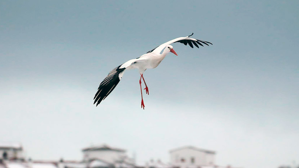 La fotografía 'Entre el cielo y el suelo' del segoviano Alfredo López. / E. A.