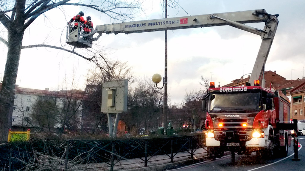 Los bomberos tuvieron que utilizar una escala para retirar una rama rota de un árbol de Vía Roma. / Nerea Llorente