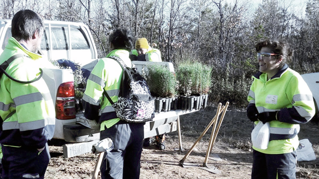 Participantes en las labores de plantación de los árboles. / el adelantado