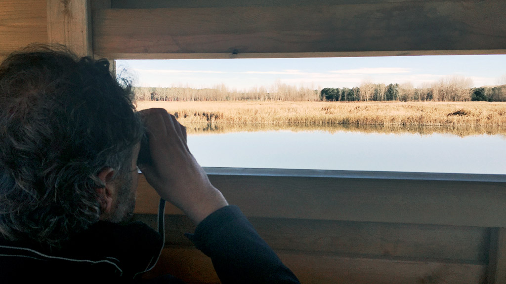 El turismo ornitológico que permiten algunas lagunas de la provincia será una de las propuestas que se hagan en Berlín. /E. A.