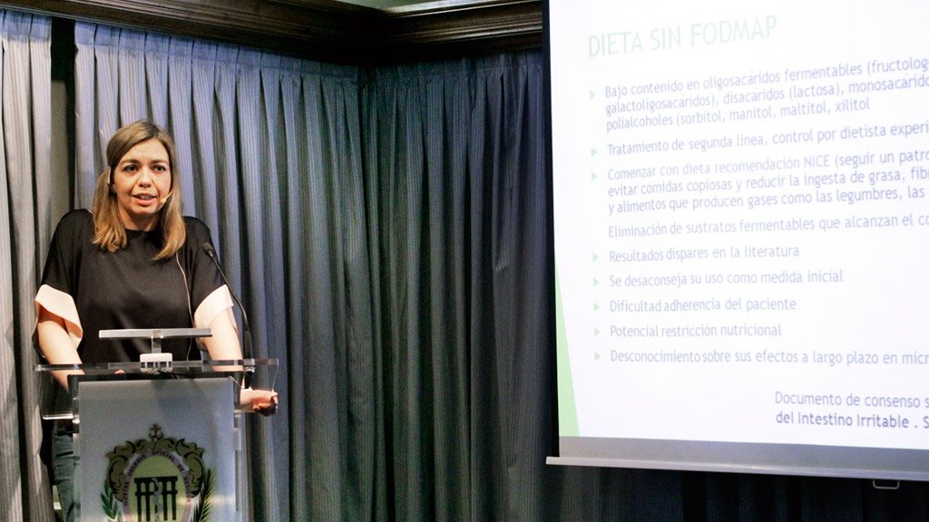 La doctora Laura Arias durante su ponencia para el Colegio de Médicos de Segovia. / El Adelantado