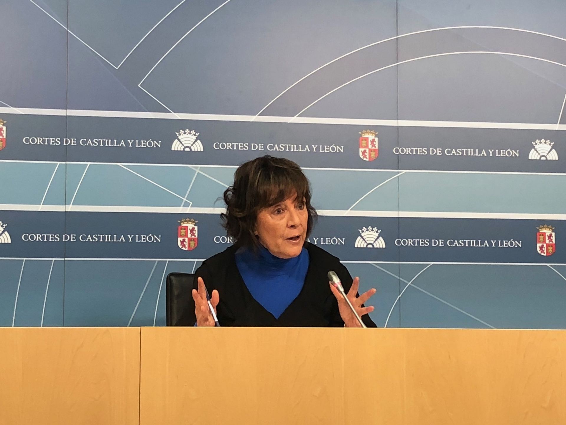 Mercedes Martín sustituirá como delegada del Gobierno a Barcones 1 La portavoz adjunta del Grupo Socialista en las Cortes de Castilla y León, Mercedes Martín. / Europa press