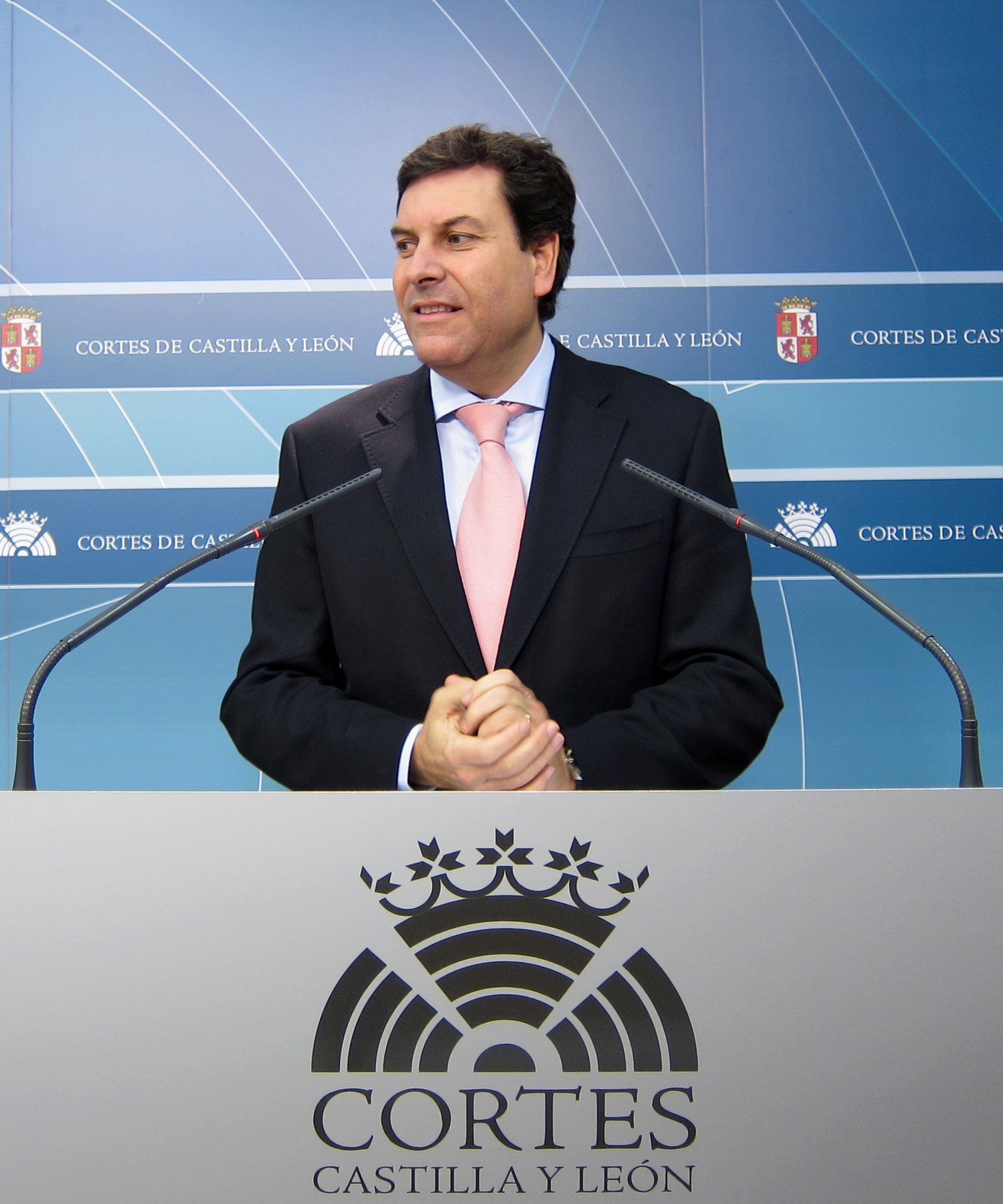 El consejero de Empleo y de Familia, Carlos Fernández Carriedo. / europa press