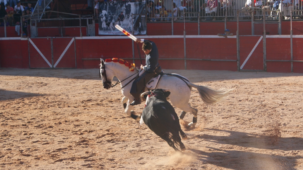 Los especialistas abordarán diversas cuestiones sobre el mundo de la tauromaquia. / el adelantado