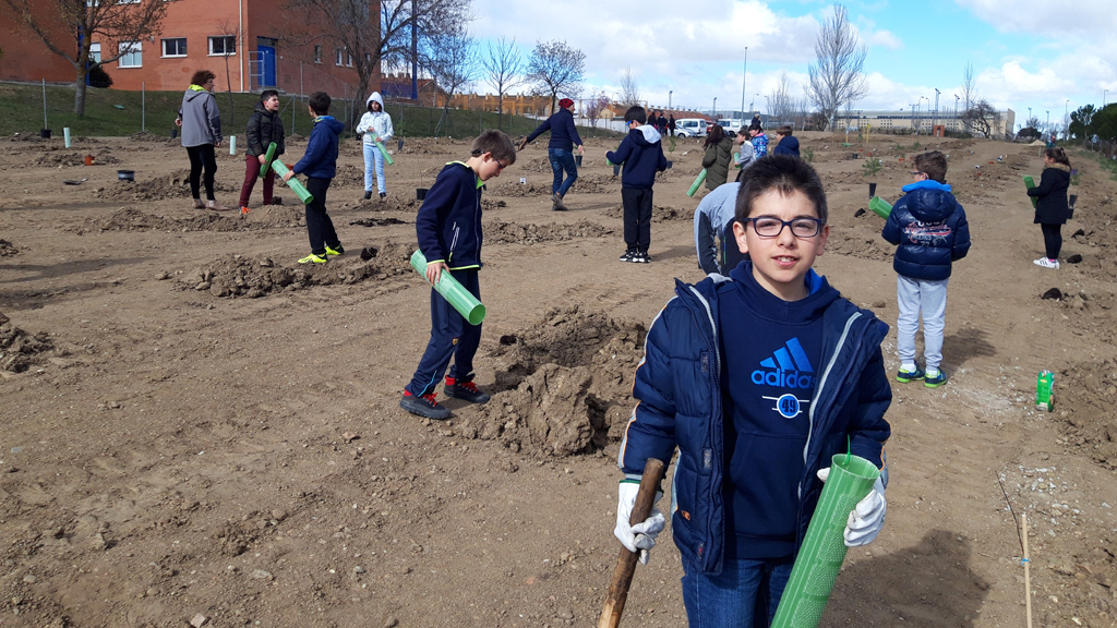 Alumnos del CEIP Elena Fortún iniciaron la semana pasada la plantación de árboles junto a su colegio. / E. A.