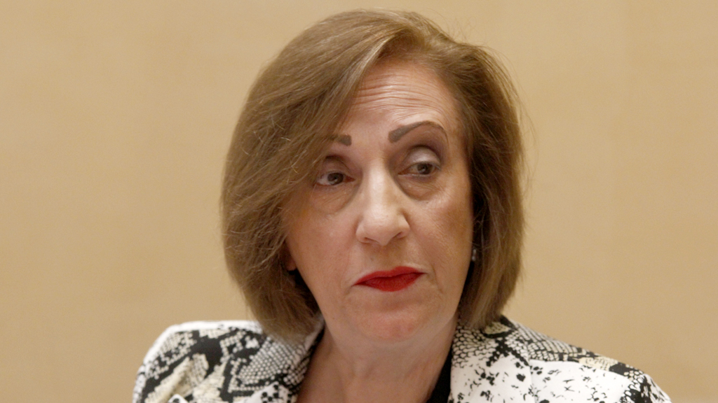 María José García Orejana, portavoz de Ciudadanos. / Nerea Llorente